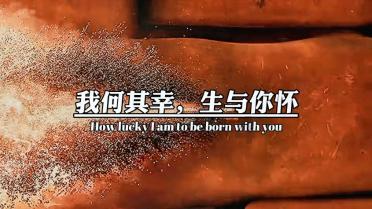 杨成武上将的后代如今怎样了？四女儿是少将，二子中将，幼子经商